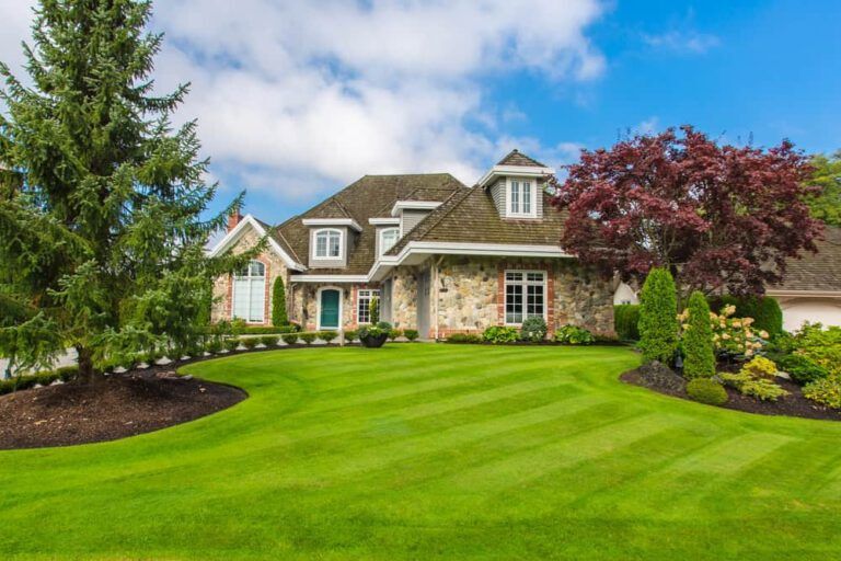 grass-yard-lawn-aug022018-min