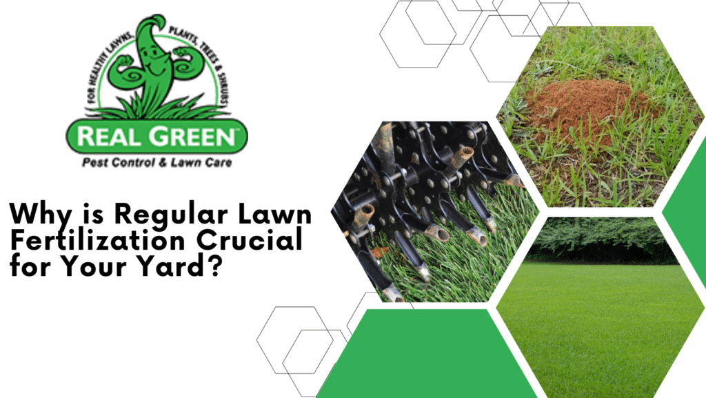 Why Is Regular Lawn Fertilization Crucial for Your Yard?
