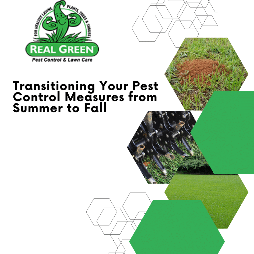 Transitioning Your Pest Control Measures from Summer to Fall