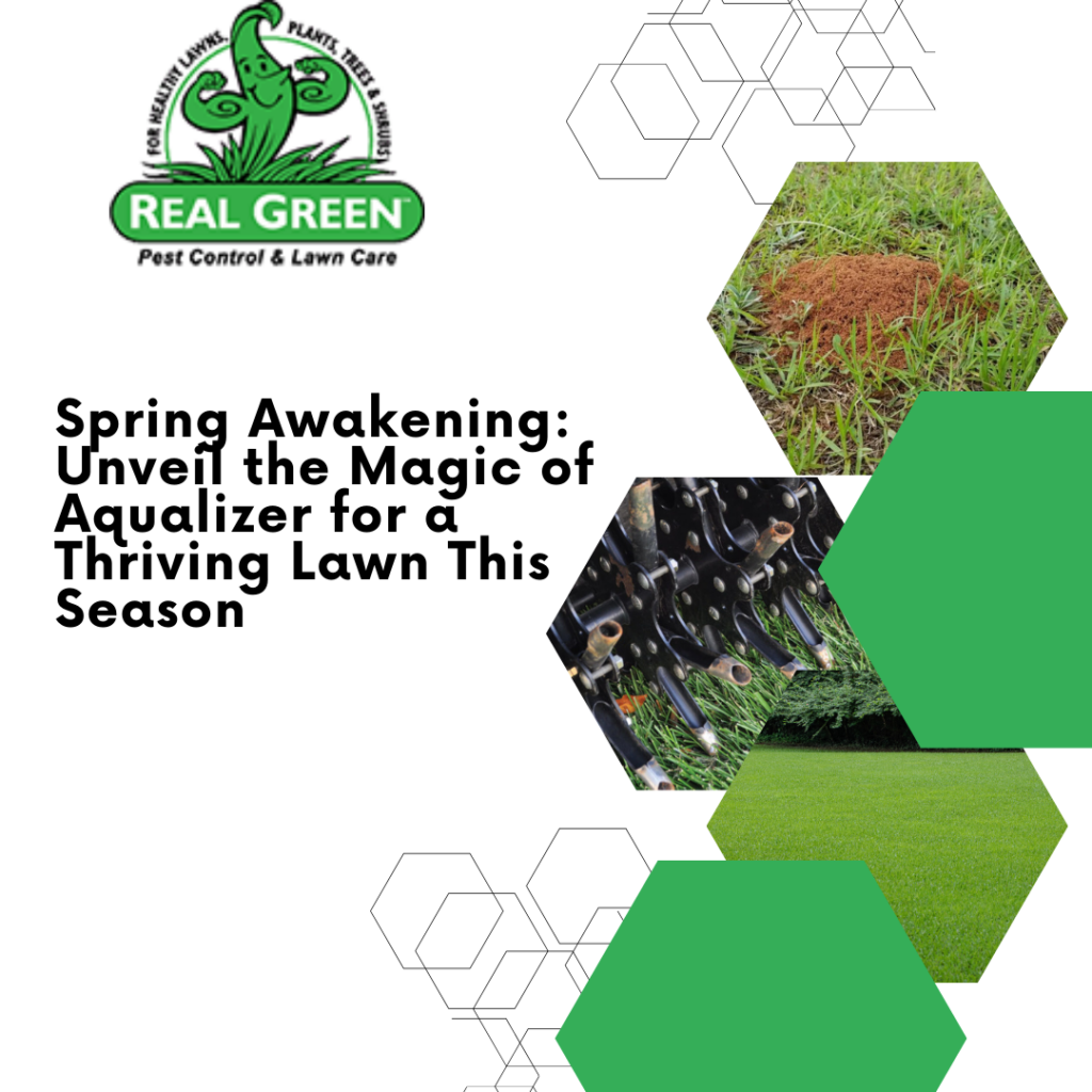Spring Awakening: Unveil the Magic of Aqualizer for a Thriving Lawn This Season