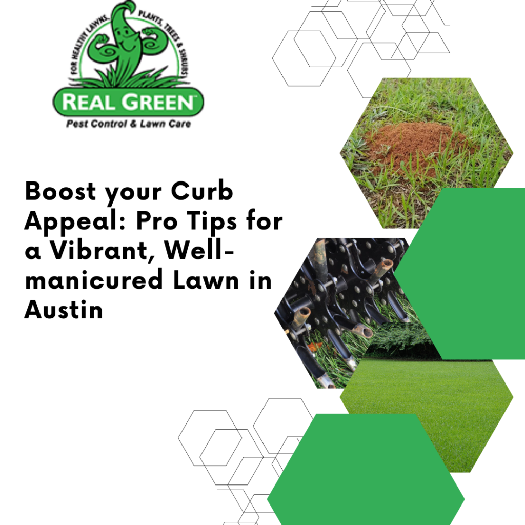 Boost your Curb Appeal: Pro Tips for a Vibrant, Well-manicured Lawn in Austin