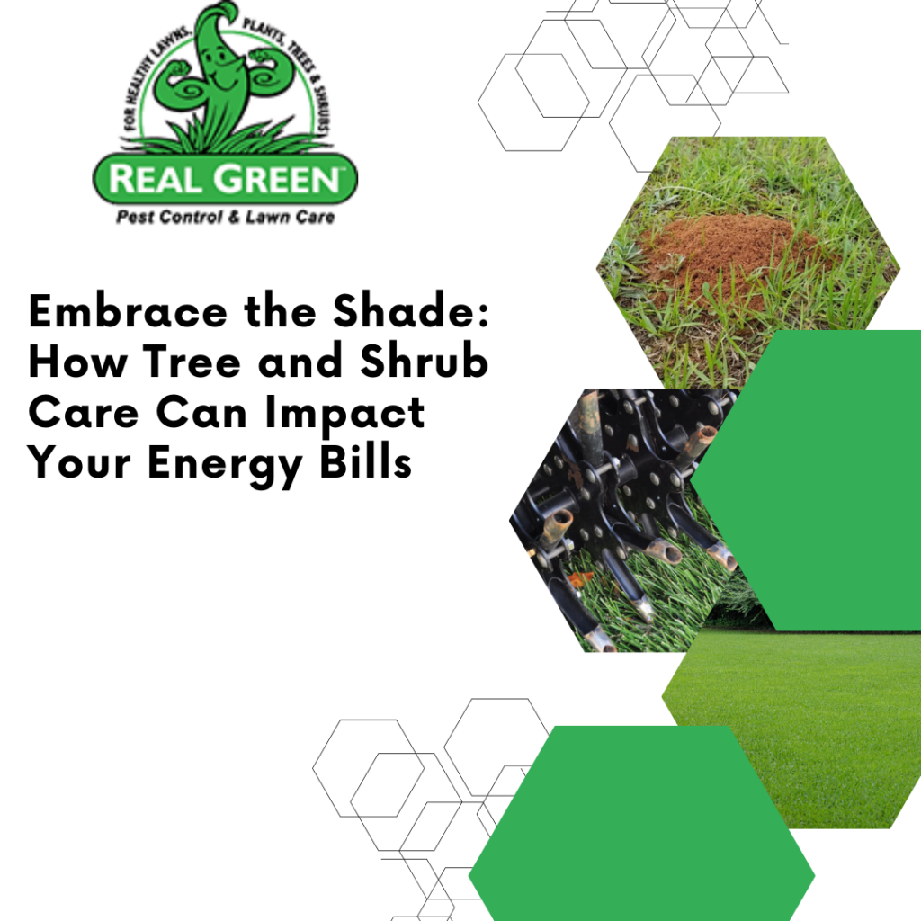 Embrace the Shade: How Tree and Shrub Care Can Impact Your Energy Bills
