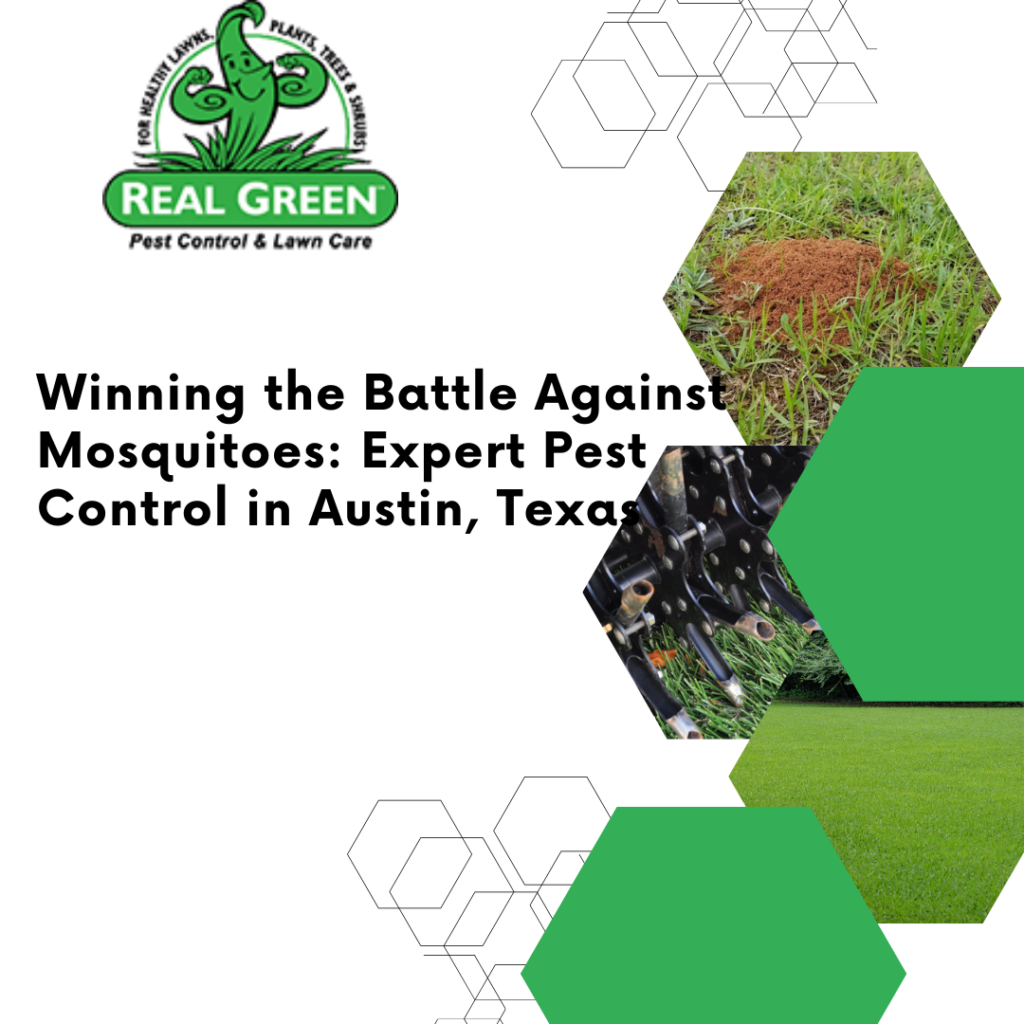 Winning the Battle Against Mosquitoes: Expert Pest Control in Austin, Texas