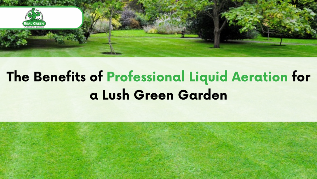 The Benefits of Professional Liquid Aeration for a Lush Green Garden