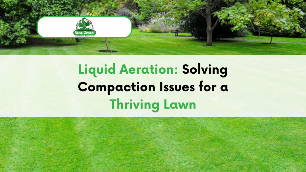 Liquid Aeration: Solving Compaction Issues for a Thriving Lawn