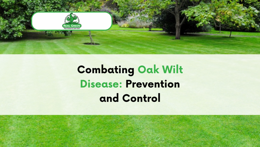 Combating Oak Wilt Disease: Prevention and Control