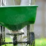 When to Fertilize: Lawn Advice for Homeowners in Austin, Texas