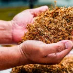 What Is Mulch Used for on Your Lawn & Landscape? 