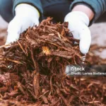 What Is Mulch Used for on Your Lawn & Landscape? 