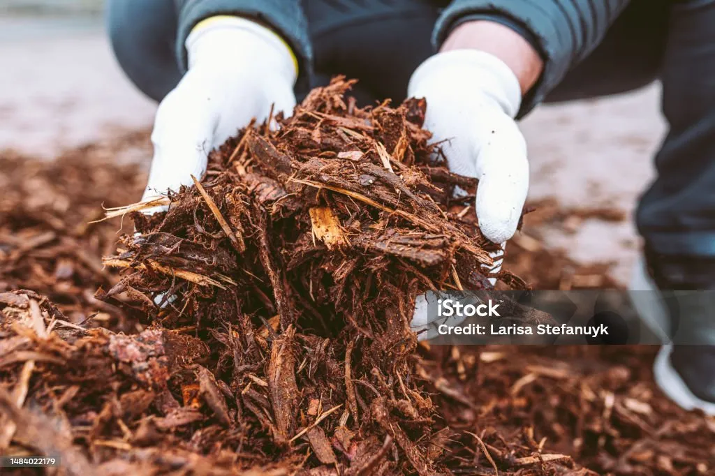 What Is Mulch Used for on Your Lawn & Landscape? 