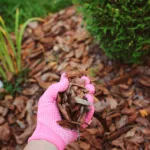 All About Mulching Leaves in Central Texas
